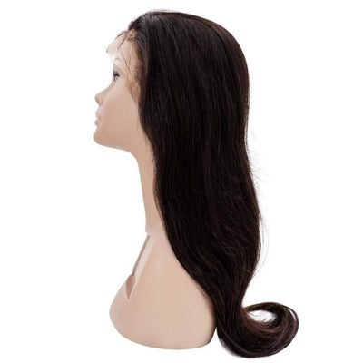Brazilian Silky Straight Lace Front Wig